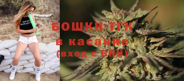 прущие грибы Билибино
