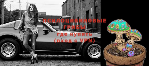 дмт Новокубанск
