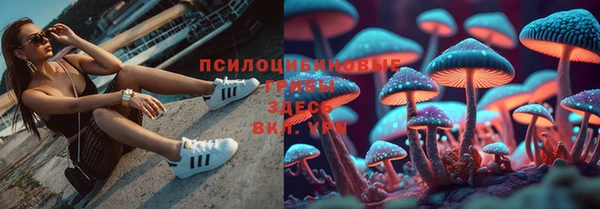 дистиллят марихуана Новозыбков