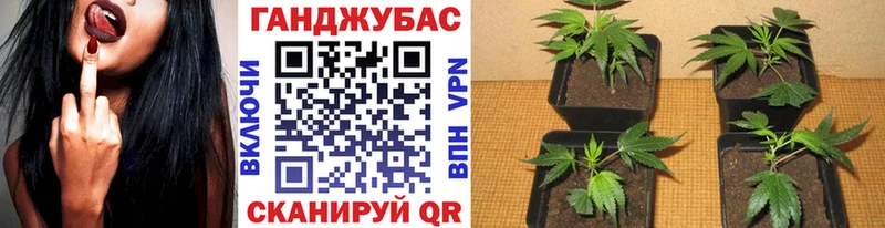 Конопля ГИДРОПОН  хочу наркоту  Лакинск 